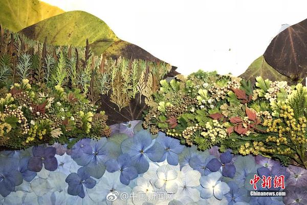 三節打卡！亞歷山大21中9得到23分8板2助4斷